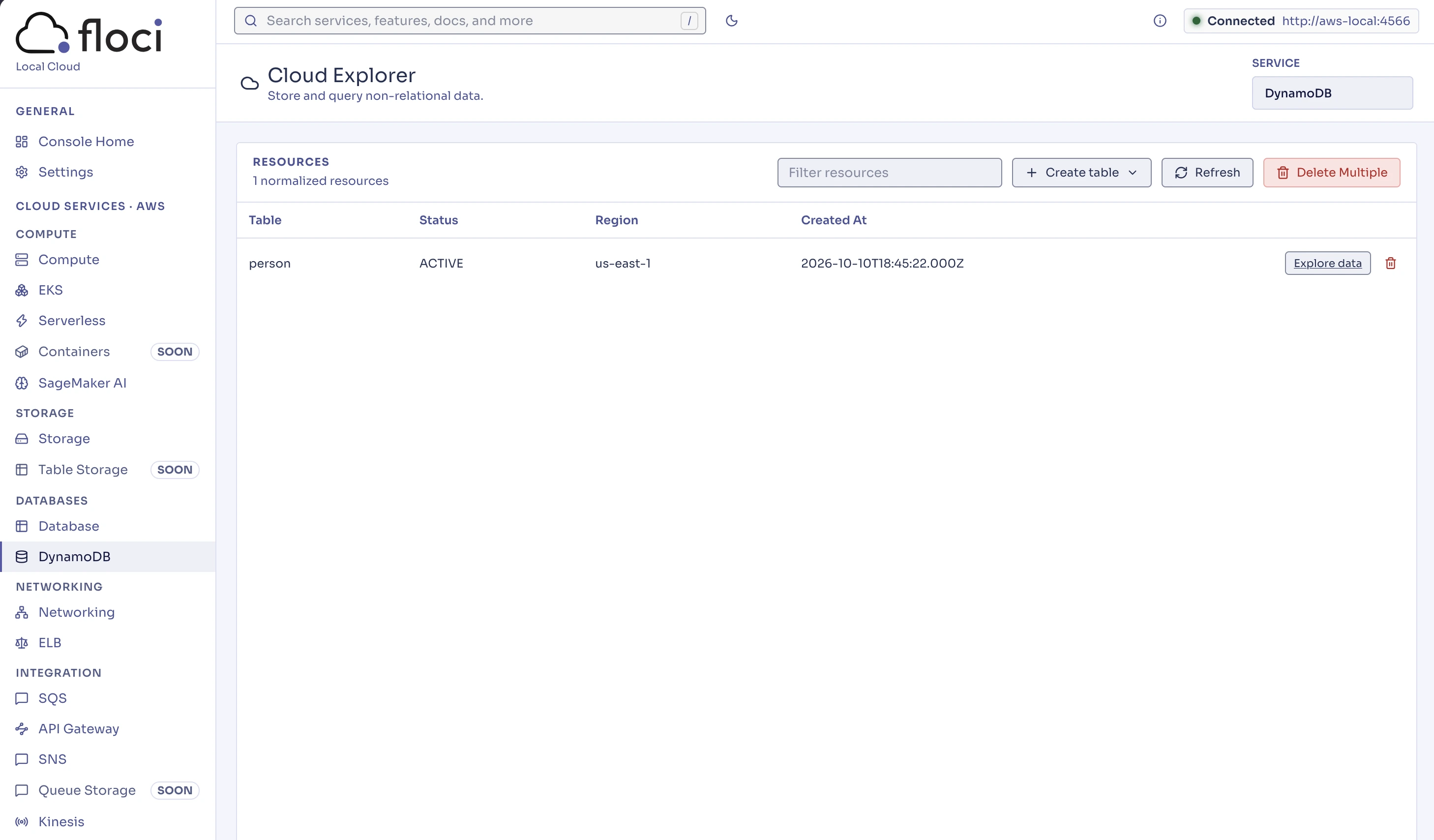 Floci UI: tabella DynamoDB person in modalità chiara